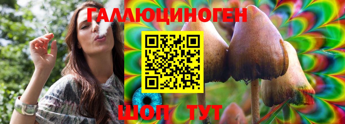 Галлюциногенные грибы ЛСД Буйнакск
